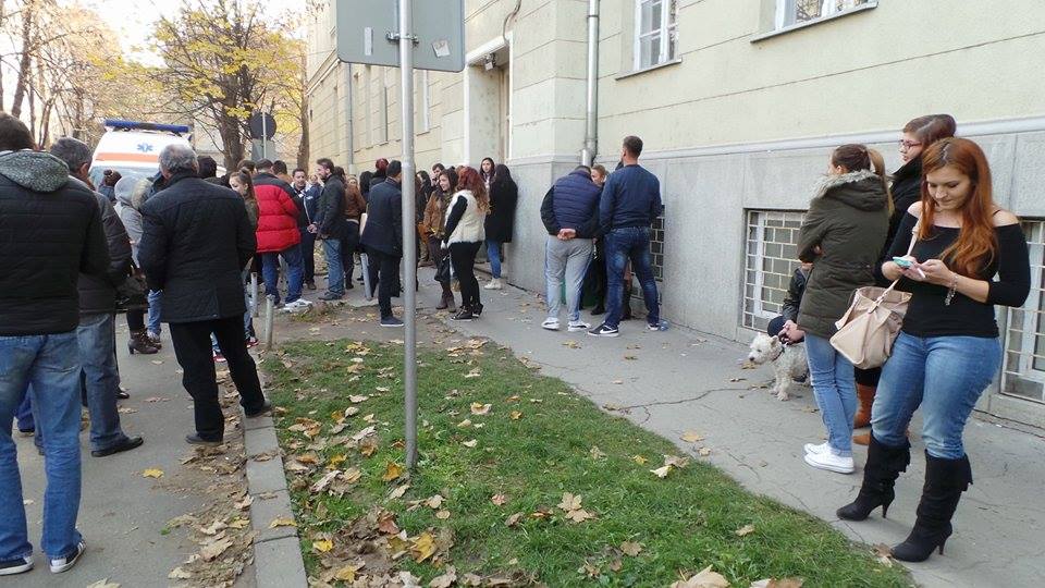 tineri grile 17
