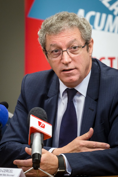 Prof. Dr. Streinu Cercel