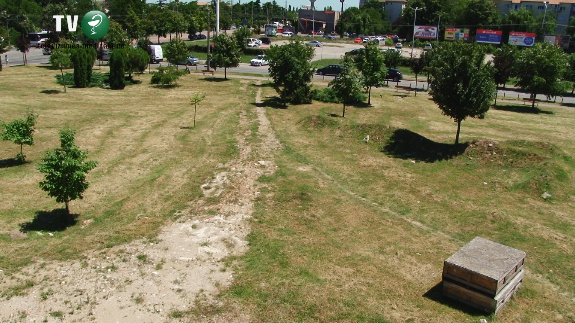 Maternitate