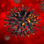 Varianta Omicron a coronavirusului este rezistentă la majoritatea anticorpilor monoclonali